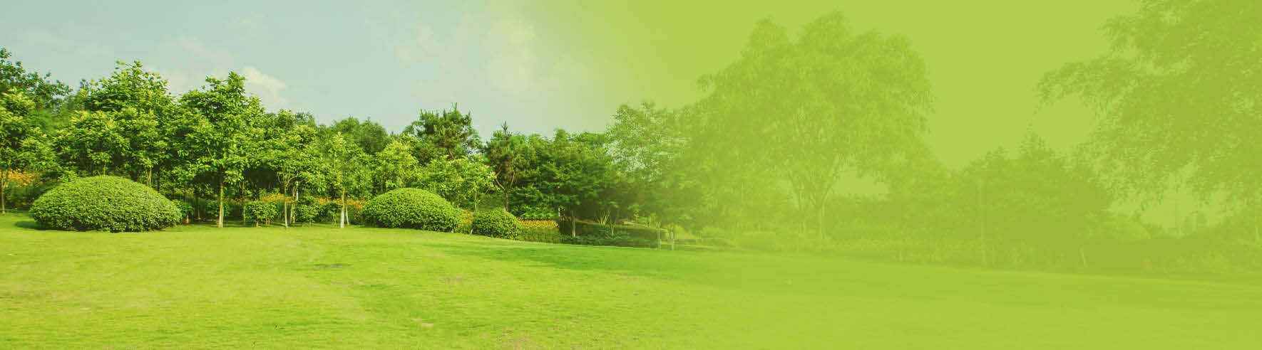 Looking for a new Gazebo